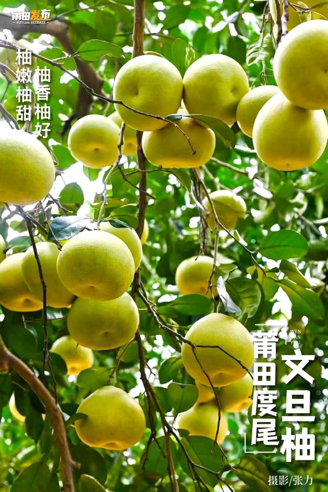 出口东南亚